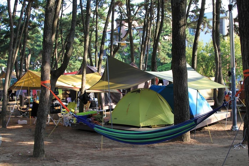 대천해수욕장 야영장 시설 사진 14