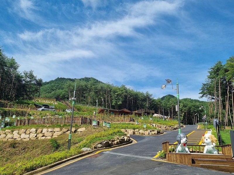 국립김천숲속야영장 시설 사진 13