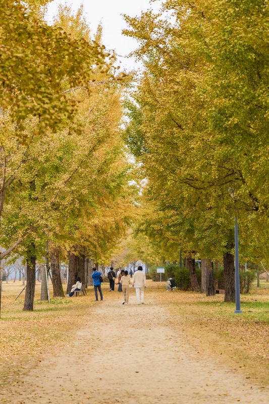 강천섬캠핑장 시설 사진 63