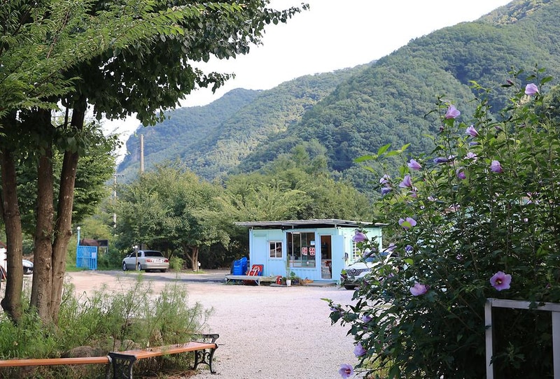 담터 금학캠핑장 시설 사진 9