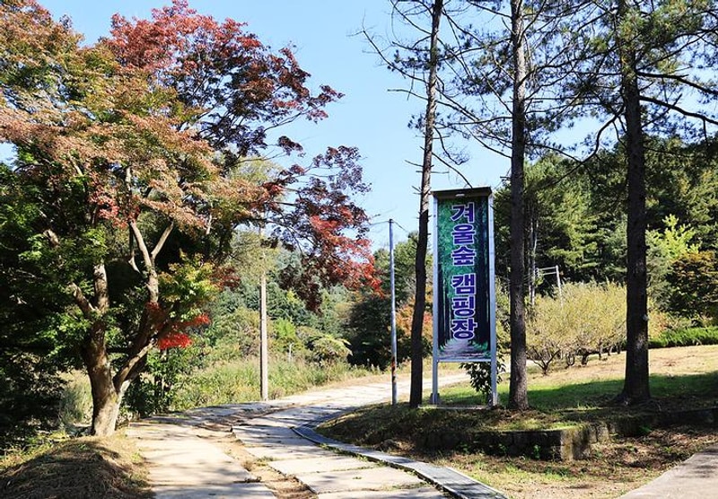 (주)구들택 겨울숲 지점 대표 사진