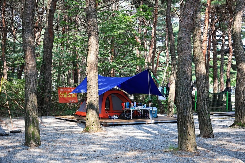 양양 솔바다 캠핑장 시설 사진 10