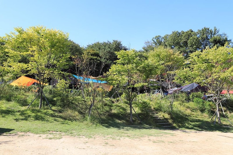 초안산캠핑장 시설 사진 27