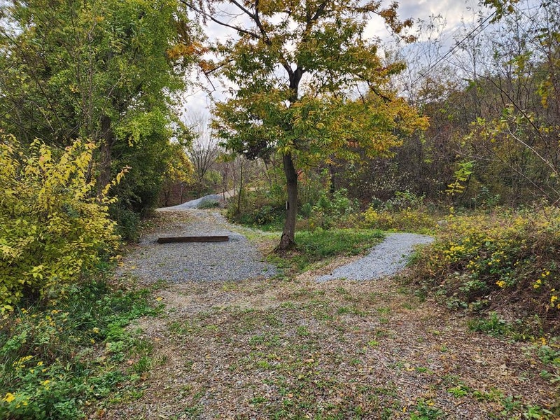 어도숲 캠핑장 시설 사진 6