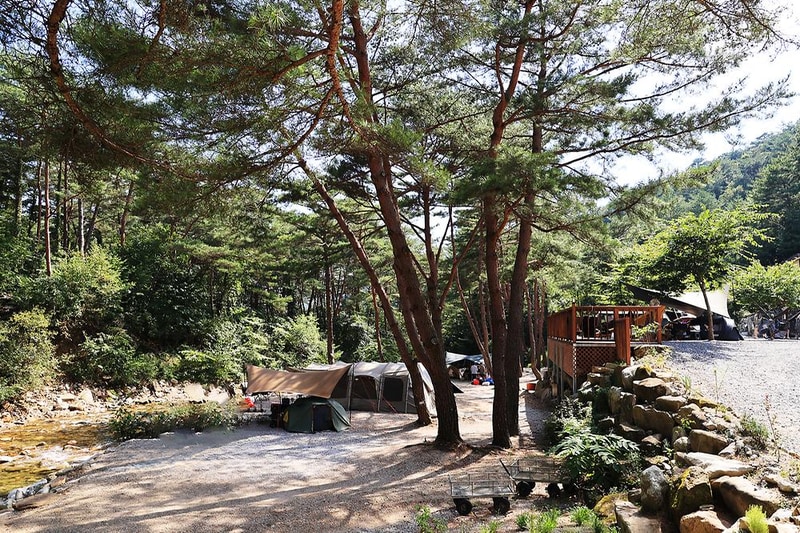 캠프 오어즈 시설 사진 25