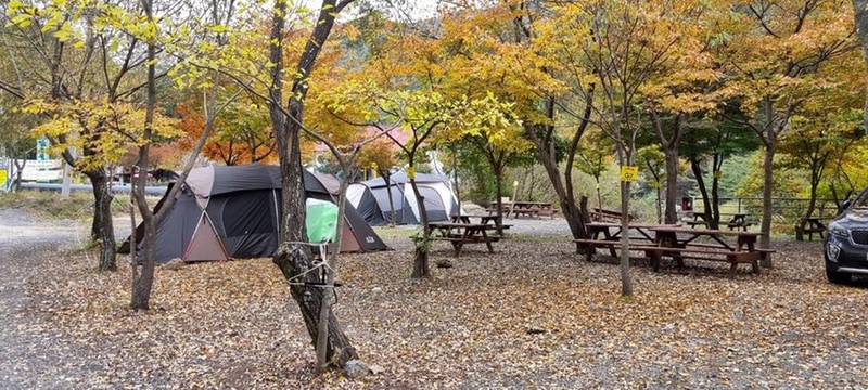 지리산천왕봉오토캠핑장 시설 사진 3
