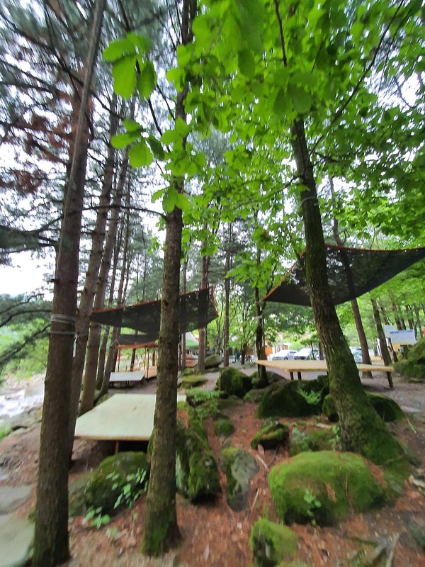 단양 천동계곡 캠핑장 그린농원 시설 사진 32