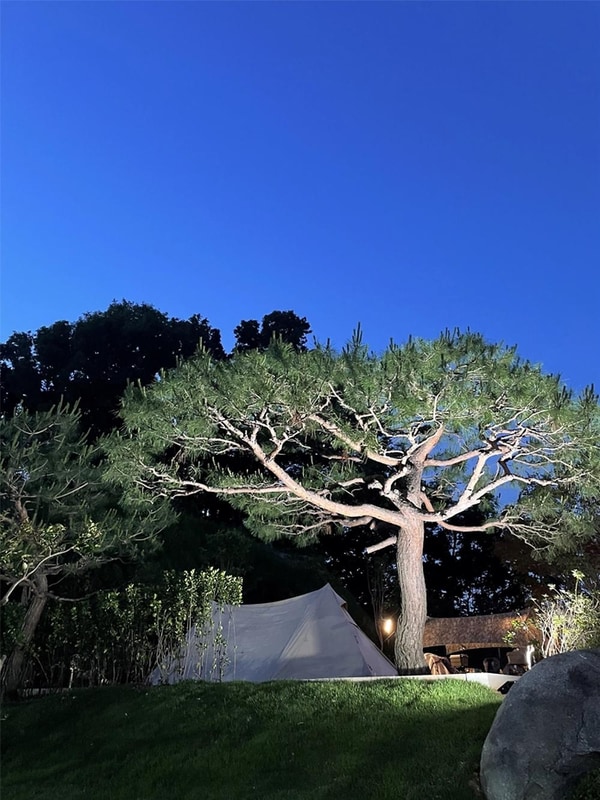 솔잎향캠핑파크 시설 사진 13