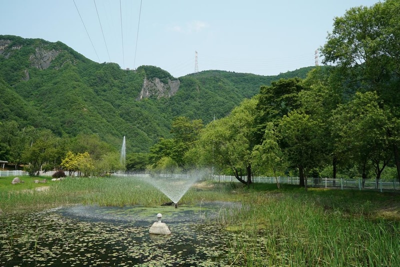 정선군생태체험학습장야영장 펫 동반 캠핑장 시설 사진 26