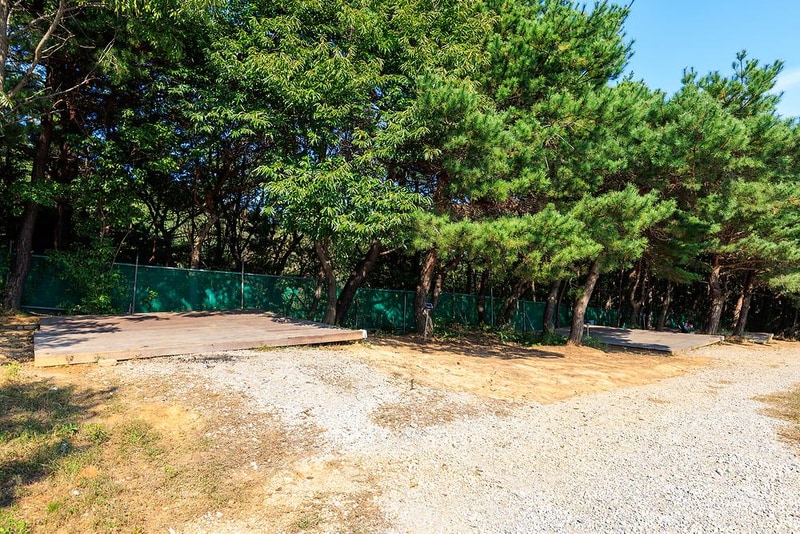 비손관광농원 야영장 시설 사진 11