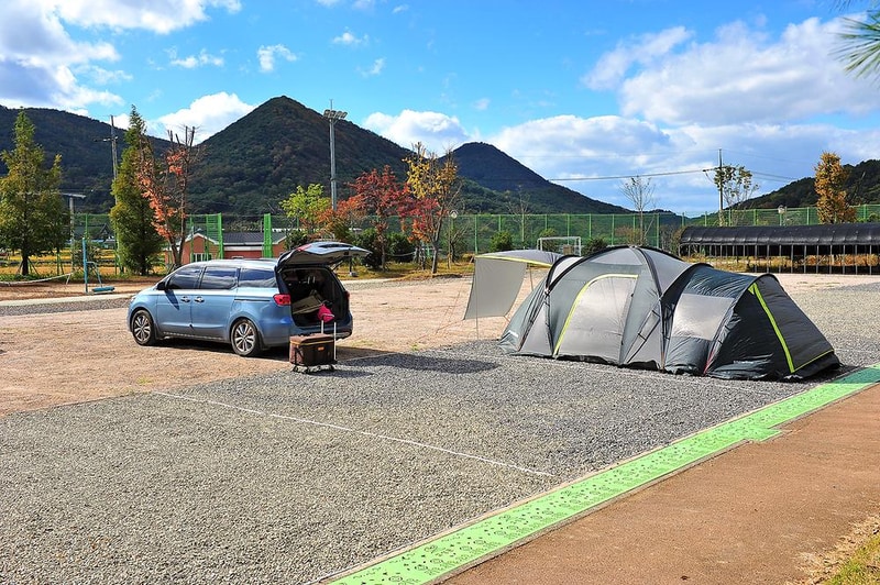 청광새들녘캠핑 시설 사진 11