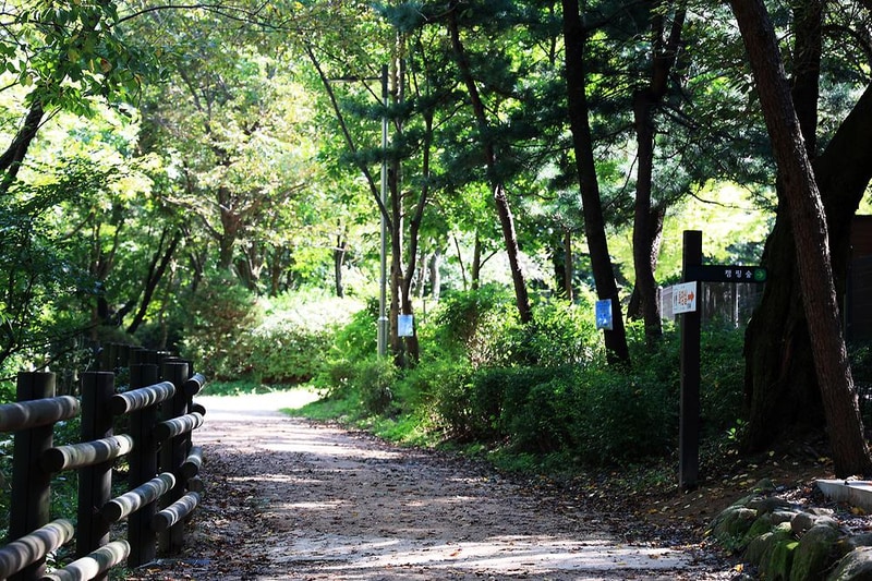 관악산 계곡 캠핑장 시설 사진 27