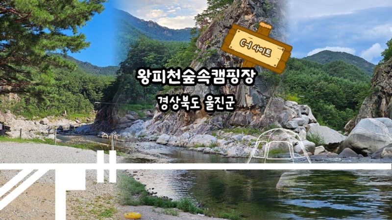 [경북 울진 / 왕피천숲속캠핑장 / C-1번 사이트] 방문 솔직 후기