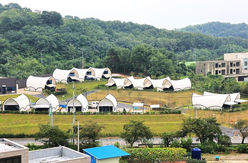 글램핑 봄 대표 사진