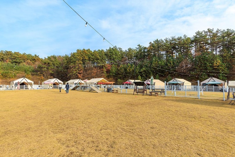 멍글멍글 펫글램핑 시설 사진 14