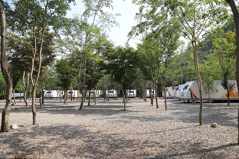 영월산여울캠핑장 대표 사진