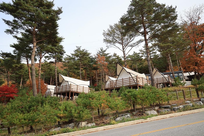 숲속야영장 시설 사진 2