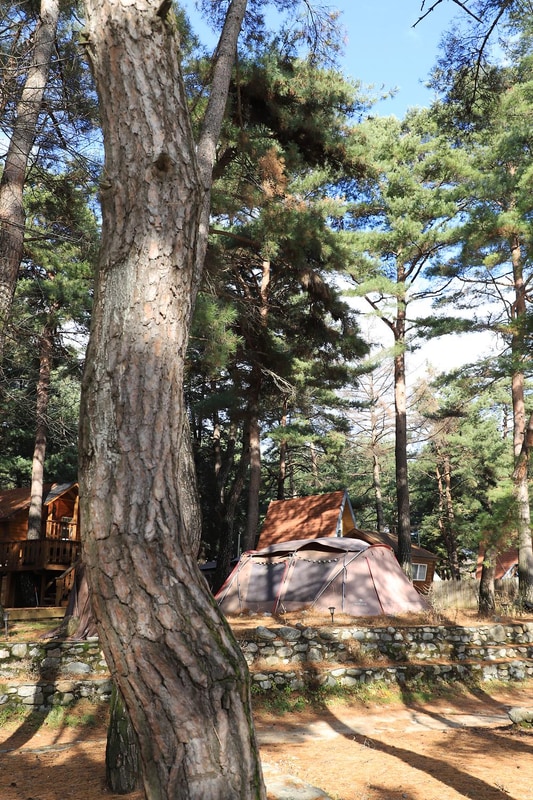 아트인아일랜드 시설 사진 12