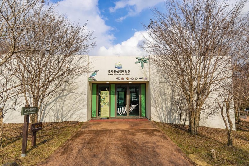 교래자연휴양림야영장 시설 사진 50