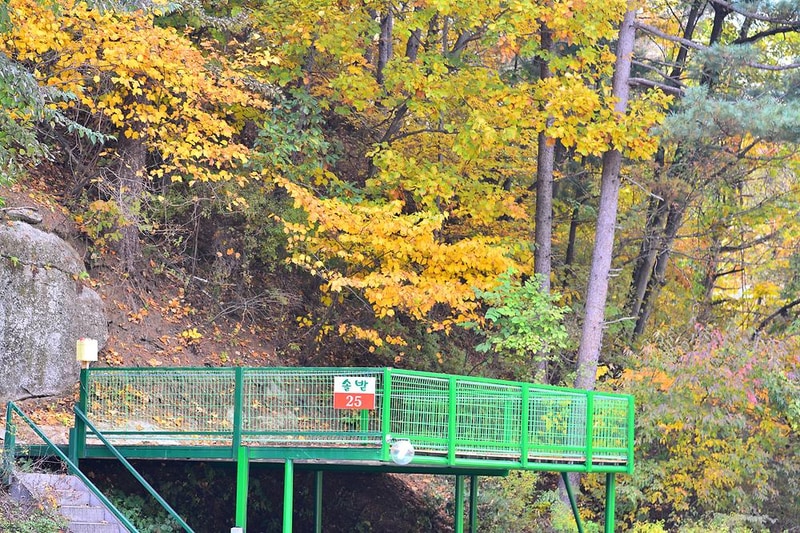 솔밭펜션캠핑장 시설 사진 8