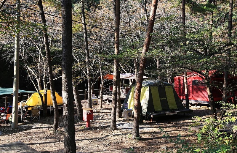 희리산 해송자연휴양림 일반야영장 시설 사진 11