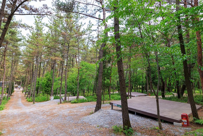 우니메이카 태안점 시설 사진 10