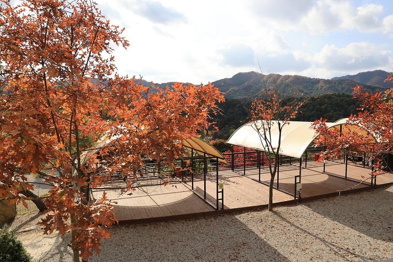 금동휴양림캠프1 시설 사진 12