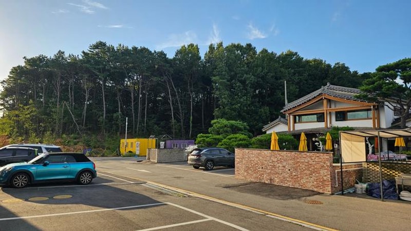 테라피크닉 대표 사진