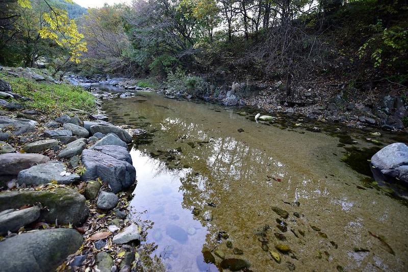 가평 물골숲 계곡 캠핑장 시설 사진 6