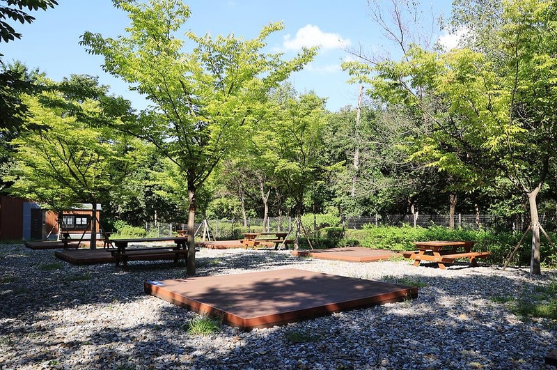 관악산 계곡 캠핑장 시설 사진 7