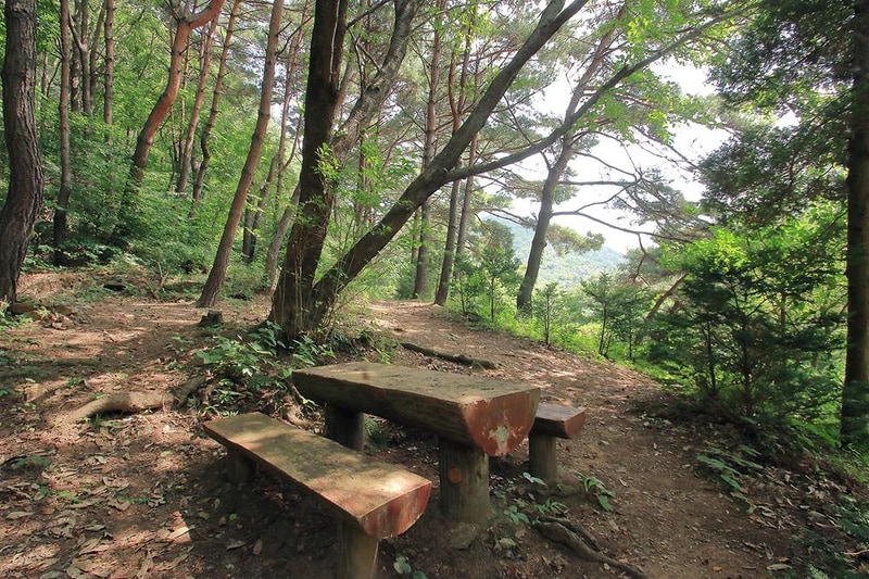 국립용현자연휴양림야영장 시설 사진 10