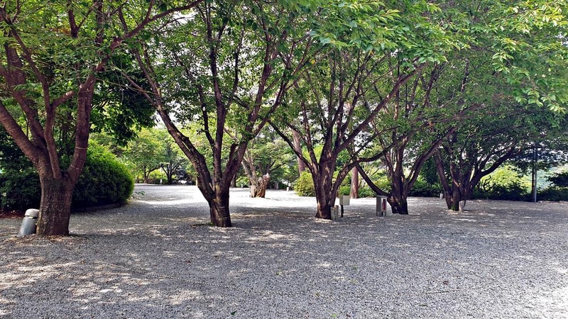 안성비봉산 캠핑장 시설 사진 9