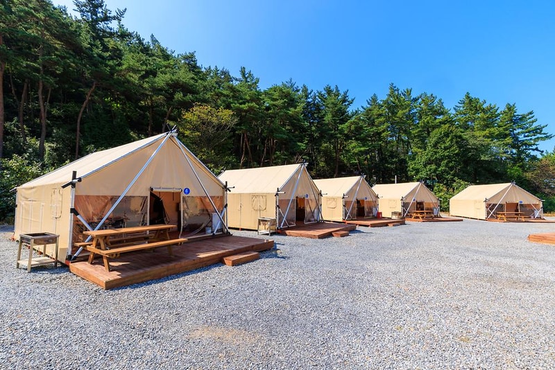 올레유 시설 사진 11