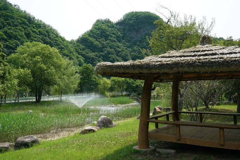 정선군생태체험학습장야영장 펫 동반 캠핑장 시설 사진 32