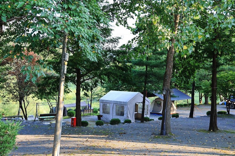 당마루관광농원캠핑장 시설 사진 6