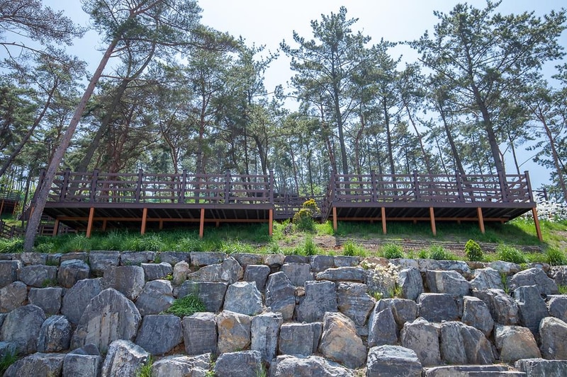 솔향기캠핑장 시설 사진 5