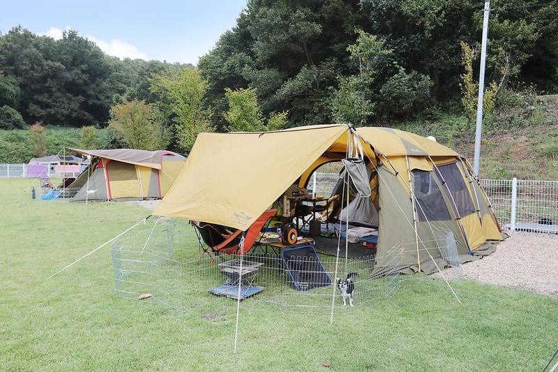 피플앤독 힐링캠핑장 시설 사진 11