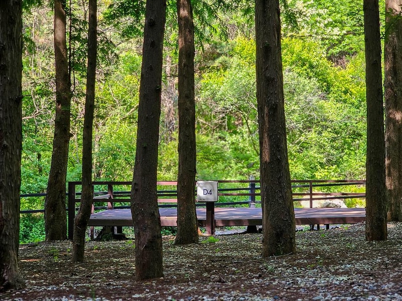 스테이네이처 시설 사진 30