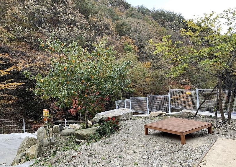 청학동별빛캠핑장 시설 사진 11