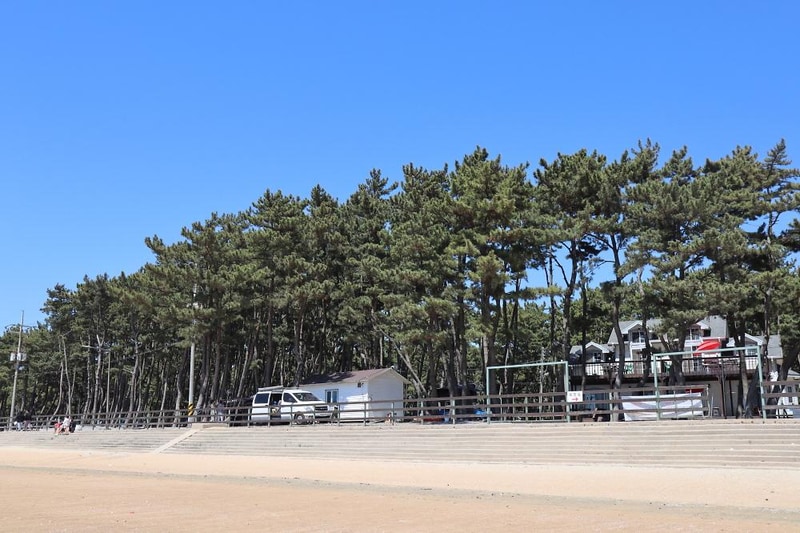 몽산포오토캠핑장 2구역 시설 사진 11