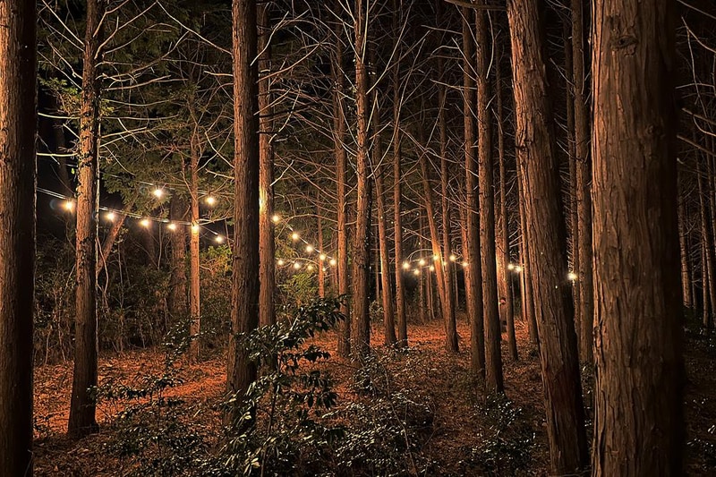 굿모닝오소재글램핑 시설 사진 5