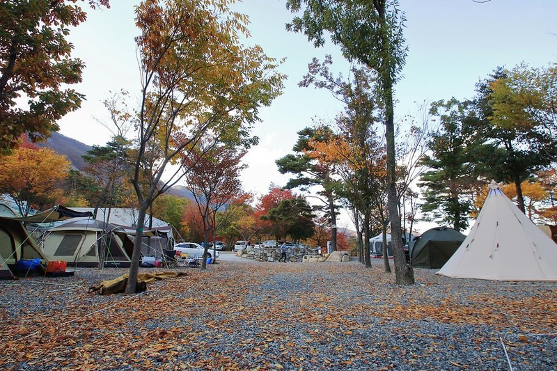 문복산 캠핑장 시설 사진 2