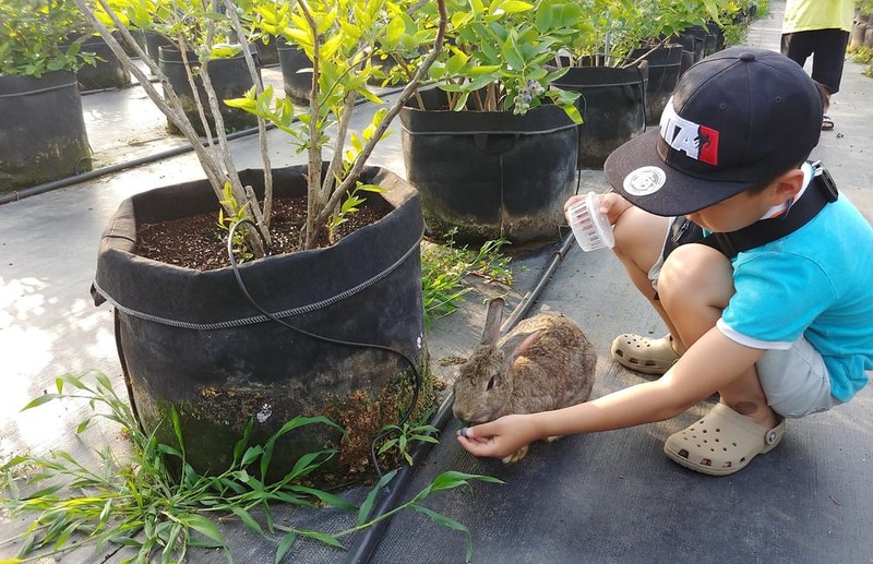 숲속의베리팜 시설 사진 11