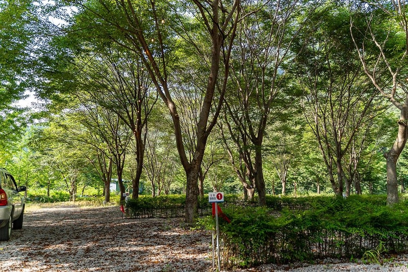 가리왕산 정원 캠핑장 시설 사진 4