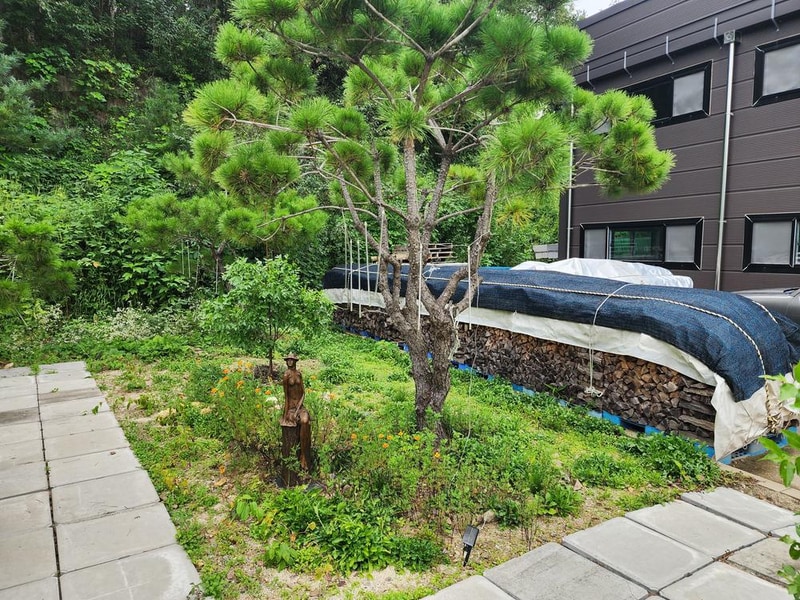 나무와 쉬리 시설 사진 5