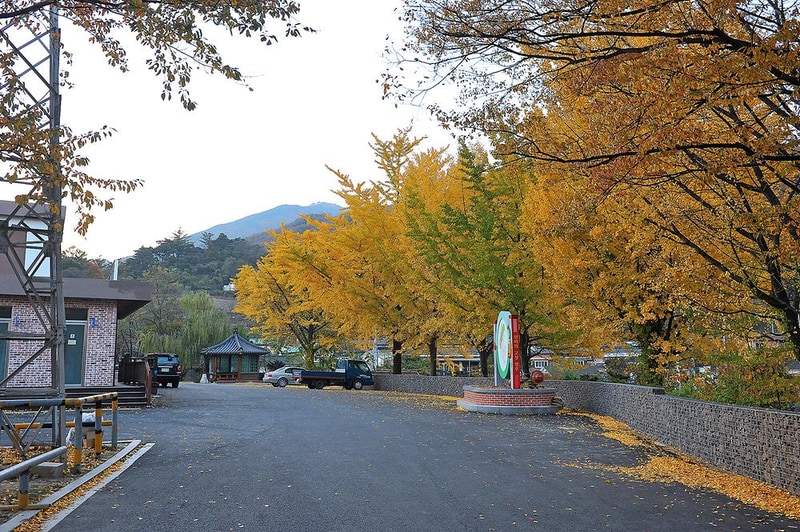 영주시 소백산역 캠핑장 시설 사진 2