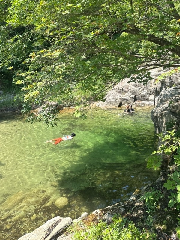 숲속도마치계곡캠핑장