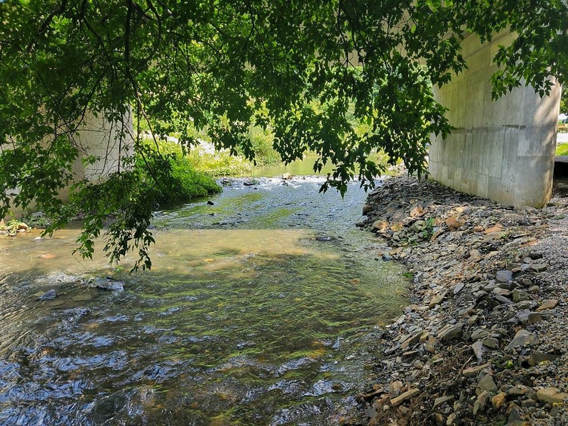 둥지캠핑장 시설 사진 29