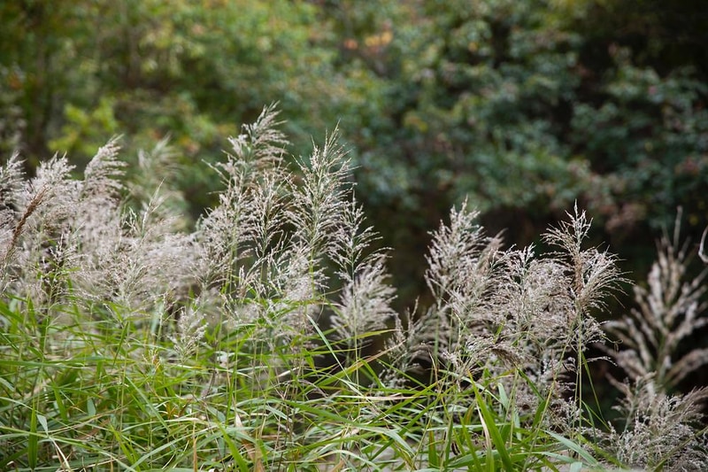 글렌 252 시설 사진 13