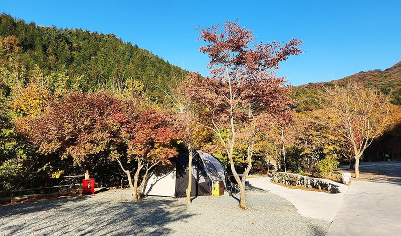 복골캠핑장 시설 사진 14